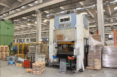 Zani AF300 2MB / Ton 300 Mechanical straight side presses